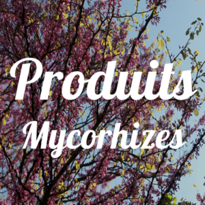 Produits Mycorhizes